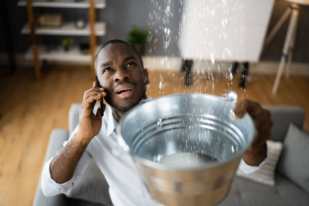 Best Residential water damage restoration  in Stonewood, WV