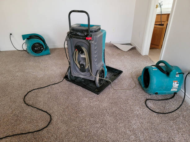 Best Carpet water damage restoration  in Stonewood, WV
