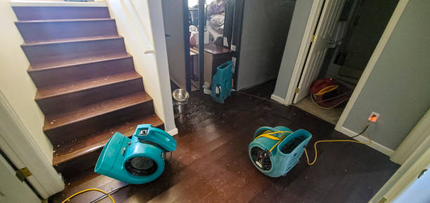 Best Water damage restoration mold remediation  in Stonewood, WV