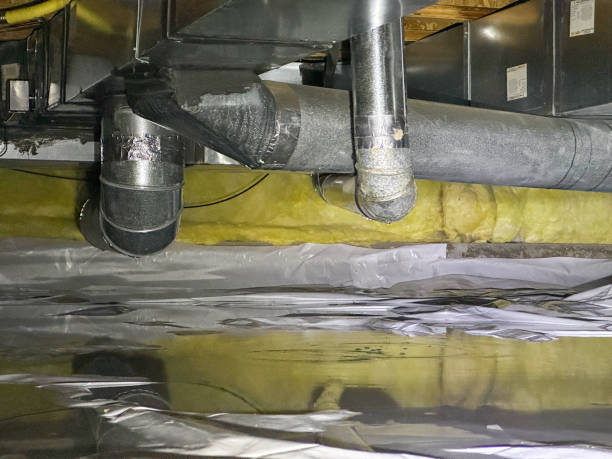 Best Basement water damage restoration  in Stonewood, WV