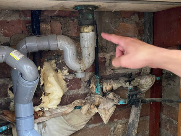 Best Fire Damage Restoration  in Stonewood, WV